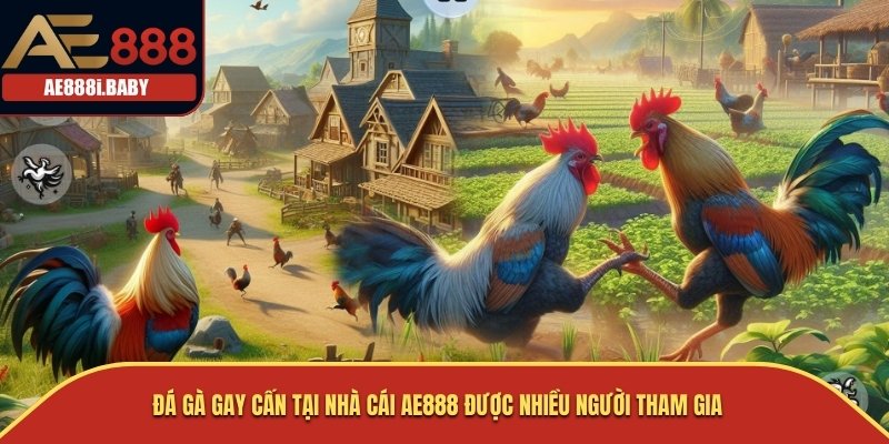 AE888 | AE888i.BABY - NHÀ CÁI ĐÁ GÀ THOMO SỐ 1 VIỆT NAM 32 Đá gà gay cấn tại nhà cái AE888 được nhiều người tham gia
